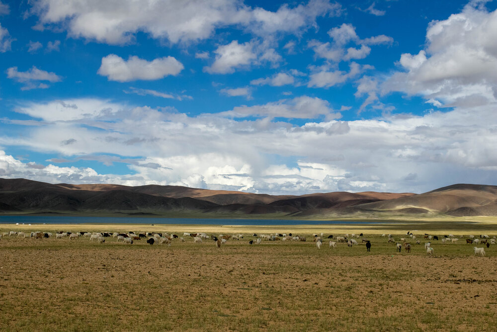 Kyun Tso & Ryul Tso Lake