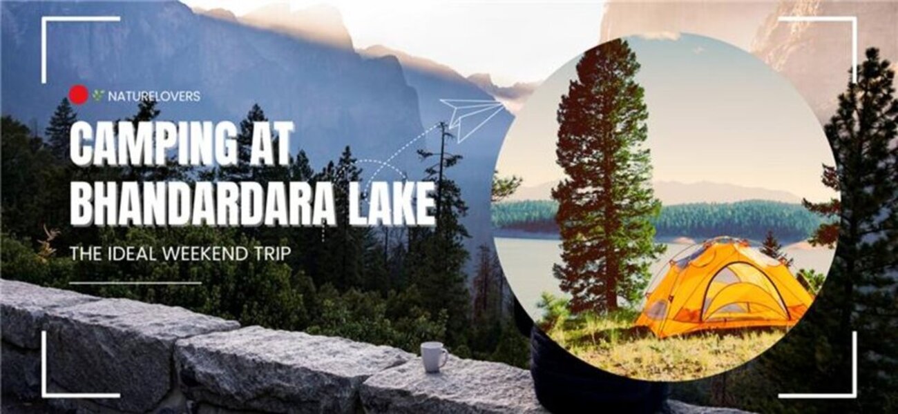 camping-at-bhandardara-lake